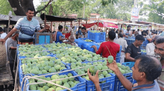 আমাদের আমের আড়ৎ